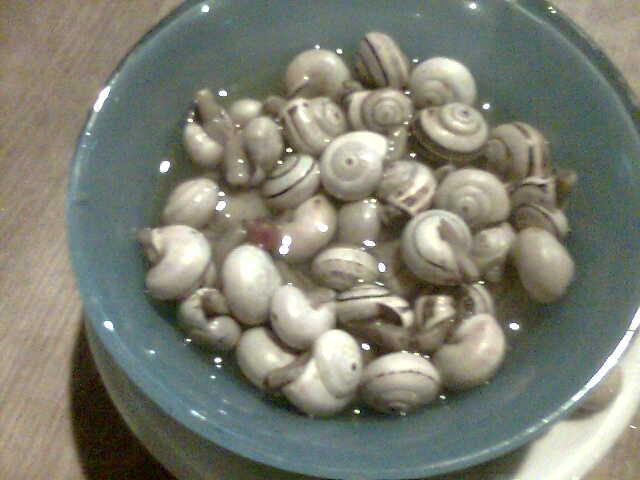 Foto de caracoles en un plato