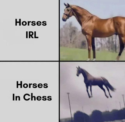 Meme con dos imágenes. La de arriba, un caballo parado, con el texto caballos en la vida real. La de abajo, con el texto caballos en el ajedrez, muestra un caballo flotando en el aire.