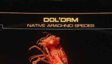 Detalle del screenshot anterior, donde se ve que dice "arachnid species"